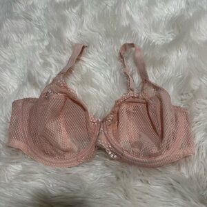 Elomi pink lace bra size 36G